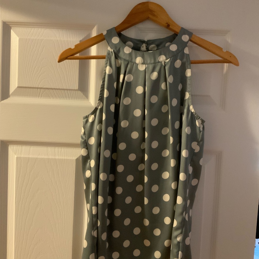 The Limited Blue and White Polka Dot blouse